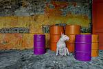     
: me-and-my-dog-explore-abandoned-places-across-europe-14__880.jpg
: 17
:	131.8 
ID:	10787374