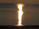     
: IMG_7492.jpg
: 27
:	83.5 
ID:	10787974