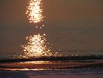     
: IMG_7484.jpg
: 31
:	119.9 
ID:	10787976