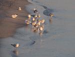     
: IMG_7489.jpg
: 38
:	91.5 
ID:	10787983