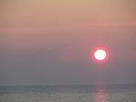     
: IMG_7456.jpg
: 28
:	48.3 
ID:	10787986