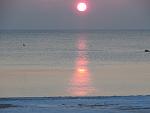     
: IMG_7454.jpg
: 31
:	108.1 
ID:	10787989