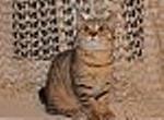     
: getImage.jpg
: 22
:	7.2 
ID:	1078897