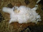     
: 20160121_161853.jpg
: 12
:	135.5 
ID:	10789091