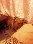     
: axQP1OtryB4.jpg
: 38
:	163.7 
ID:	10790053