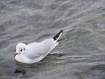     
: IMG_7568.jpg
: 24
:	88.9 
ID:	10791023