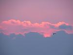     
: IMG_7530.jpg
: 32
:	36.5 
ID:	10791035