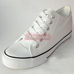     
: rl229 white.jpg
: 25
:	145.7 
ID:	10792914