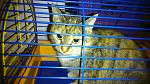     
: DSC_0525.jpg
: 57
:	135.0 
ID:	10793254