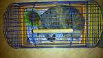     
: DSC_0536.jpg
: 56
:	141.5 
ID:	10793256