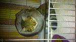     
: DSC_0603.jpg
: 43
:	122.8 
ID:	10793322