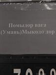     
: image1.jpg
: 51
:	53.3 
ID:	10796714