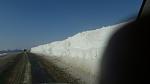     
: 20160123_111459_resized.jpg
: 84
:	46.1 
ID:	10796740