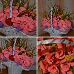     
: c_ade9f70b3a8dd9f39423c2f14b33ec81.jpg
: 11
:	87.0 
ID:	10798135