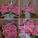     
: c_94d9858593fdaea46985095c284a1d5d.jpg
: 15
:	80.6 
ID:	10798138