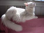     
: DSC03749.JPG
: 13
:	76.0 
ID:	1080226