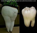     
: ImageUploadedByTapatalk1453885932.463268.jpg
: 31
:	61.9 
ID:	10804587