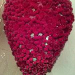     
: 12558329_176243386068434_1567764006_n.jpg
: 9
:	79.5 
ID:	10808805