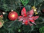     
: SAM_0724.jpg
: 13
:	305.9 
ID:	10809383