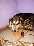     
: x_ef6b7a7f.jpg
: 39
:	27.7 
ID:	1081097