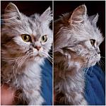     
: d-KKFrwM2Ns.jpg
: 25
:	87.6 
ID:	10811686