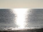     
: IMG_8360.jpg
: 41
:	163.8 
ID:	10814531