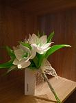     
: z7aGN1Km848.jpg
: 13
:	76.9 
ID:	10816973
