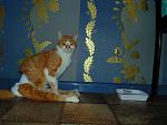     
: DSC01613.jpg
: 23
:	142.2 
ID:	10817679