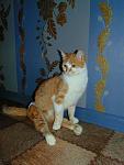     
: DSC01624.jpg
: 25
:	95.2 
ID:	10817681