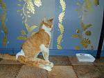     
: DSC01610.jpg
: 25
:	174.0 
ID:	10817682