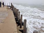     
: IMG_5408.JPG
: 22
:	130.5 
ID:	10818919