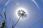     
: 7c7e5cca1d24ce926d09cc9c57fe4108bc8627147546262.jpg
: 7
:	42.3 
ID:	10819782