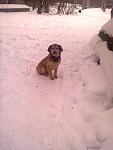     
: ImageUploadedByTapatalk1454363695.781737.jpg
: 17
:	70.1 
ID:	10823393