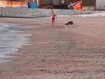    
: IMG_8480.jpg
: 52
:	126.4 
ID:	10824997