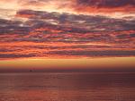     
: IMG_8420.jpg
: 48
:	108.8 
ID:	10825038