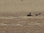     
: IMG_8522.jpg
: 35
:	180.0 
ID:	10825096