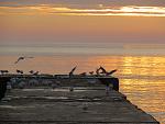     
: IMG_8492.jpg
: 41
:	147.4 
ID:	10825107