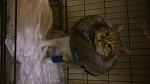     
: DSC_0618.jpg
: 40
:	67.6 
ID:	10827640