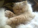     
: EMicUuF3yQw.jpg
: 3
:	175.7 
ID:	10829228