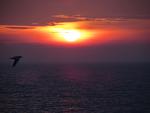     
: IMG_8635.jpg
: 19
:	60.5 
ID:	10830280