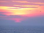     
: IMG_8610.jpg
: 18
:	58.9 
ID:	10830287