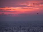     
: IMG_8594.jpg
: 18
:	74.7 
ID:	10830296