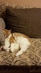     
: 20160206_203801.jpg
: 4
:	89.2 
ID:	10833492