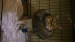     
: DSC_0616.jpg
: 12
:	66.5 
ID:	10837218