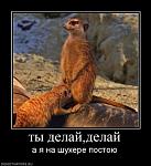     
: 11094.jpeg
: 81
:	53.7 
ID:	1083762
