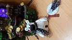     
: 20151205_161908.jpg
: 8
:	116.4 
ID:	10842128