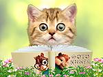     
: 2538006_myau.jpg
: 10
:	53.6 
ID:	10844013