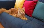     
: P51225-080554-001.jpg
: 16
:	84.3 
ID:	10846535