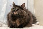     
: file-4.jpg
: 7
:	56.9 
ID:	10848552