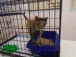     
: 2016-02-13 12-29-46.jpg
: 8
:	167.9 
ID:	10849881